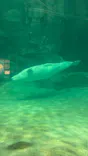 名古屋港水族館に投稿された画像（2026/9/21）
