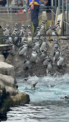 上越市立水族博物館 うみがたりに投稿された画像（2026/9/21）