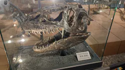 福井県立恐竜博物館に投稿された画像（2026/9/21）