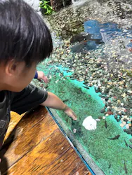 ゼロ距離水族館 伊勢シーパラダイスに投稿された画像（2026/9/21）