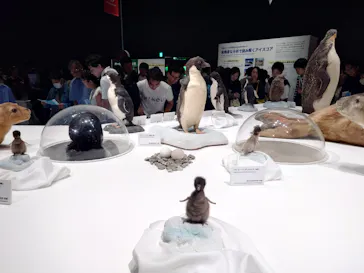 大南極展に投稿された画像（2026/9/21）