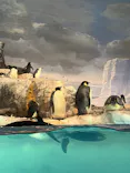 名古屋港水族館に投稿された画像（2026/9/21）