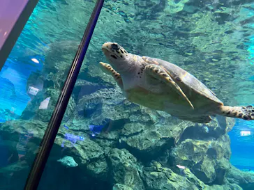 名古屋港水族館に投稿された画像（2026/9/21）