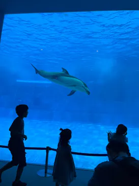 名古屋港水族館に投稿された画像（2026/9/21）