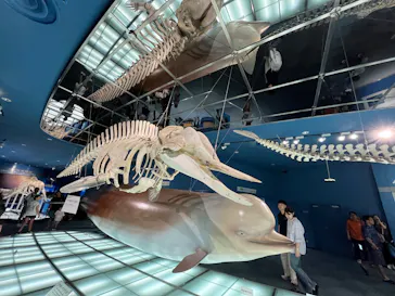 名古屋港水族館に投稿された画像（2026/9/21）