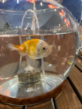 名古屋港水族館に投稿された画像（2026/9/21）