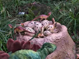 安城産業文化公園デンパークに投稿された画像（2026/9/21）