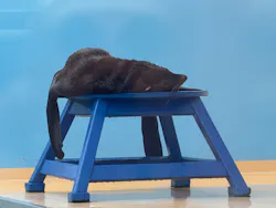 竹島水族館に投稿された画像（2026/9/21）