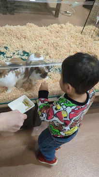 いきもの探検隊上尾に投稿された画像（2026/9/21）