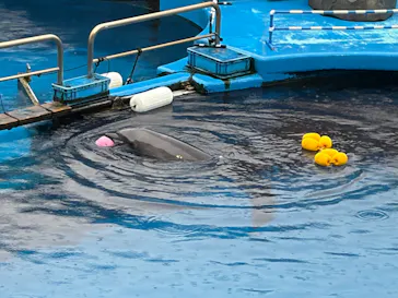 仙台うみの杜水族館に投稿された画像（2026/9/21）
