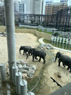 天王寺動物園に投稿された画像（2026/9/21）