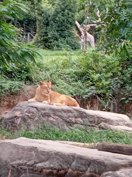 天王寺動物園に投稿された画像（2026/9/21）