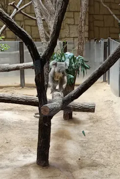 名古屋市東山動植物園に投稿された画像（2026/9/21）