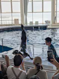アクアワールド茨城県大洗水族館に投稿された画像（2026/9/21）