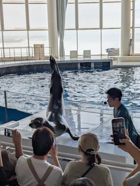 アクアワールド茨城県大洗水族館に投稿された画像（2026/9/21）