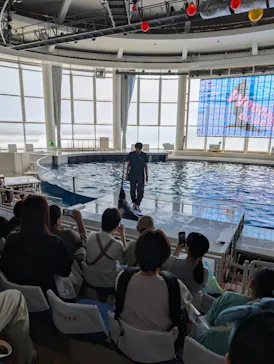 アクアワールド茨城県大洗水族館に投稿された画像（2026/9/21）