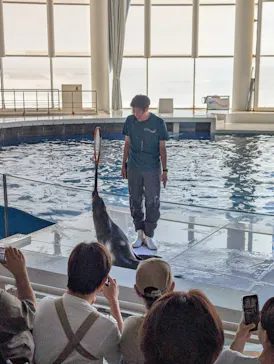 アクアワールド茨城県大洗水族館に投稿された画像（2026/9/21）