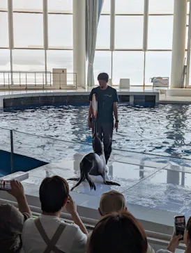 アクアワールド茨城県大洗水族館に投稿された画像（2026/9/21）