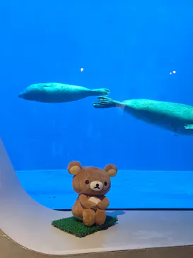 上越市立水族博物館 うみがたりに投稿された画像（2026/9/21）