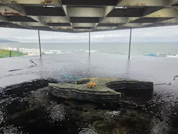 上越市立水族博物館 うみがたりに投稿された画像（2026/9/21）