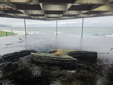 上越市立水族博物館 うみがたりに投稿された画像（2026/9/21）