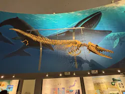 福井県立恐竜博物館に投稿された画像（2026/9/21）