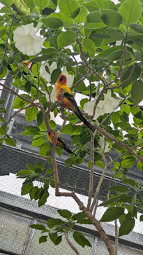 掛川花鳥園に投稿された画像（2026/9/21）