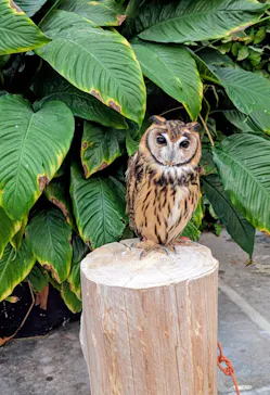 掛川花鳥園に投稿された画像（2026/9/21）