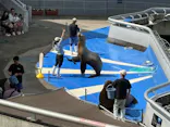 大分マリーンパレス水族館 「うみたまご」に投稿された画像（2026/9/21）