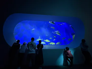 大分マリーンパレス水族館 「うみたまご」に投稿された画像（2026/9/21）