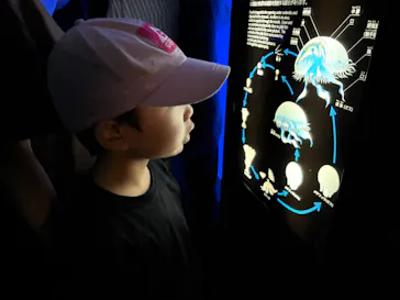 大分マリーンパレス水族館 「うみたまご」に投稿された画像（2026/9/21）