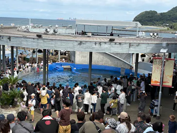 大分マリーンパレス水族館 「うみたまご」に投稿された画像（2026/9/21）