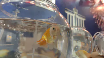 名古屋港水族館に投稿された画像（2026/9/21）