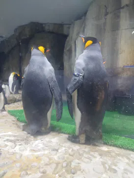 仙台うみの杜水族館に投稿された画像（2026/9/21）