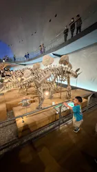 福井県立恐竜博物館に投稿された画像（2026/9/21）