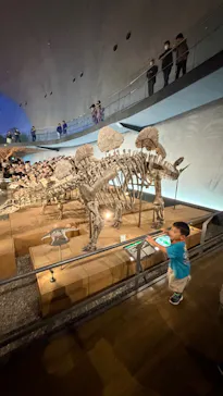 福井県立恐竜博物館に投稿された画像（2026/9/21）