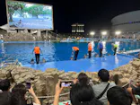 名古屋港水族館に投稿された画像（2026/9/21）