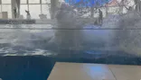 アクアワールド茨城県大洗水族館に投稿された画像（2026/9/21）