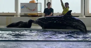 アクアワールド茨城県大洗水族館に投稿された画像（2026/9/21）