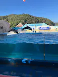 下田海中水族館に投稿された画像（2026/9/21）