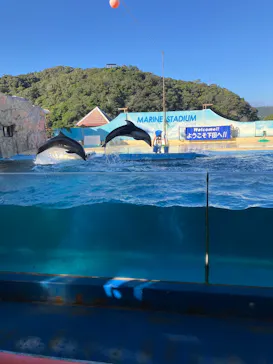 下田海中水族館に投稿された画像（2026/9/21）