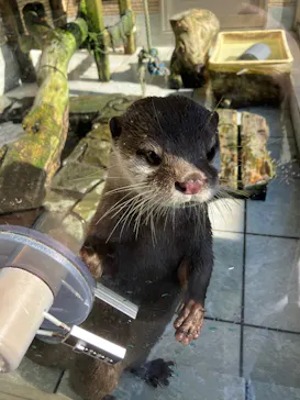 下田海中水族館に投稿された画像（2026/9/21）