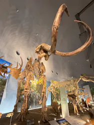 福井県立恐竜博物館に投稿された画像（2026/9/21）