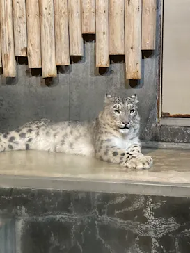 いしかわ動物園に投稿された画像（2026/9/21）