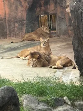天王寺動物園に投稿された画像（2026/9/21）