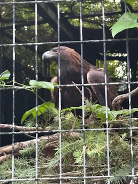 天王寺動物園に投稿された画像（2026/9/21）