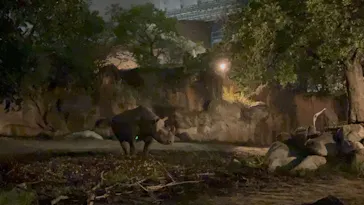 天王寺動物園に投稿された画像（2026/9/21）