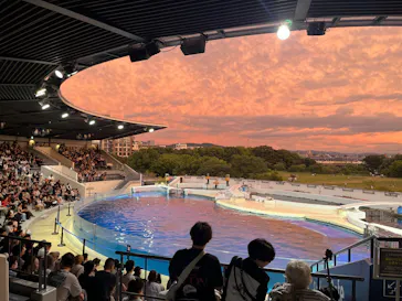 京都水族館に投稿された画像（2026/9/21）