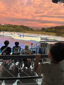 京都水族館に投稿された画像（2026/9/21）