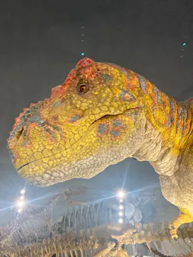 福井県立恐竜博物館に投稿された画像（2026/9/21）